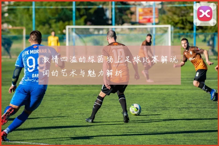 激情四溢的绿茵场上足球比赛解说词的艺术与魅力解析