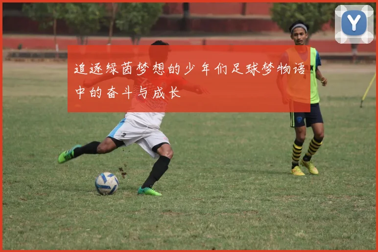 追逐绿茵梦想的少年们足球梦物语中的奋斗与成长