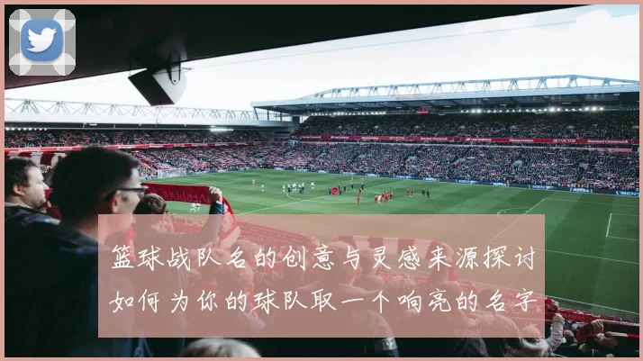 篮球战队名的创意与灵感来源探讨如何为你的球队取一个响亮的名字