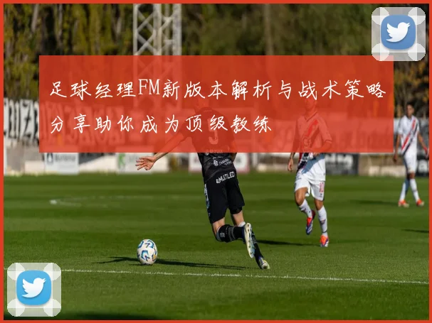 足球经理FM新版本解析与战术策略分享助你成为顶级教练