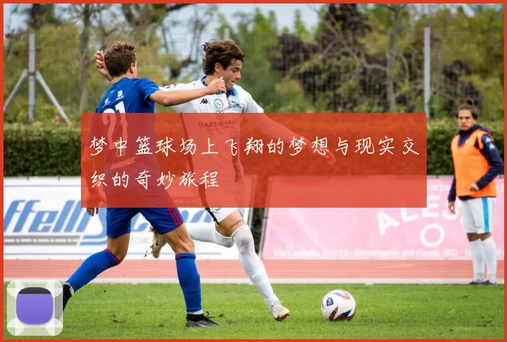 梦中篮球场上飞翔的梦想与现实交织的奇妙旅程