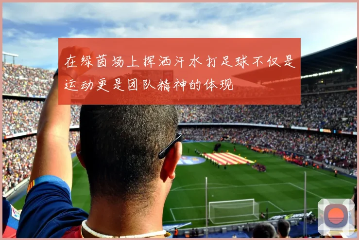 在绿茵场上挥洒汗水打足球不仅是运动更是团队精神的体现