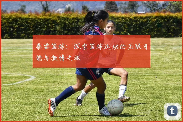 泰雷篮球：探索篮球运动的无限可能与激情之旅