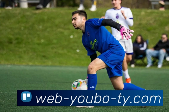 友博体育APP 高清赛事图